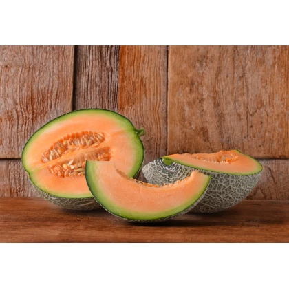 Meloun Cantaloupe - Cucumis melo - semena - 5 ks