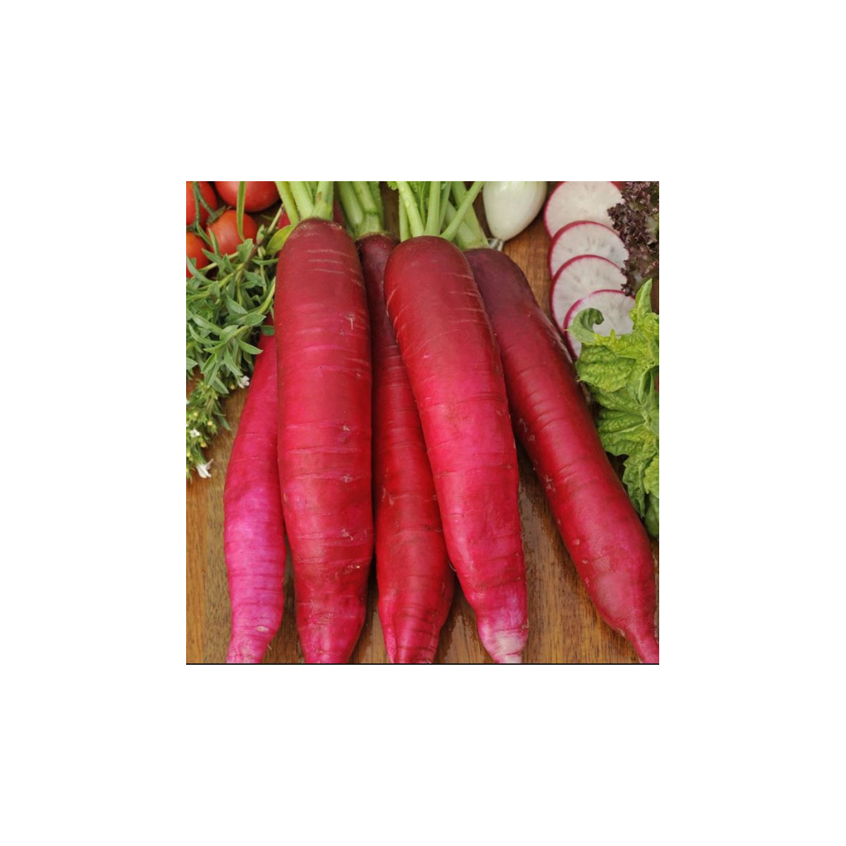 Bio ředkev Ostergruss Rosa 2 - Raphanus sativus - semena - 0,3 gr