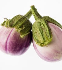Lilek Baklažán - Rosa Bianca - prodej semen lilku - 6 ks