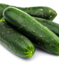Salátová okurka Delikates - Cucumis sativus - semena - 20 ks