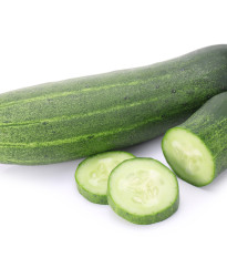 Okurka salátová Sonja - Cucumis sativus - semena - 0,5 g