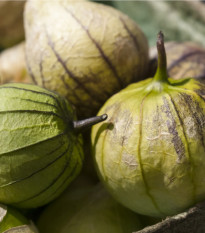 Tomatillo Cisineros - semena - 7 ks
