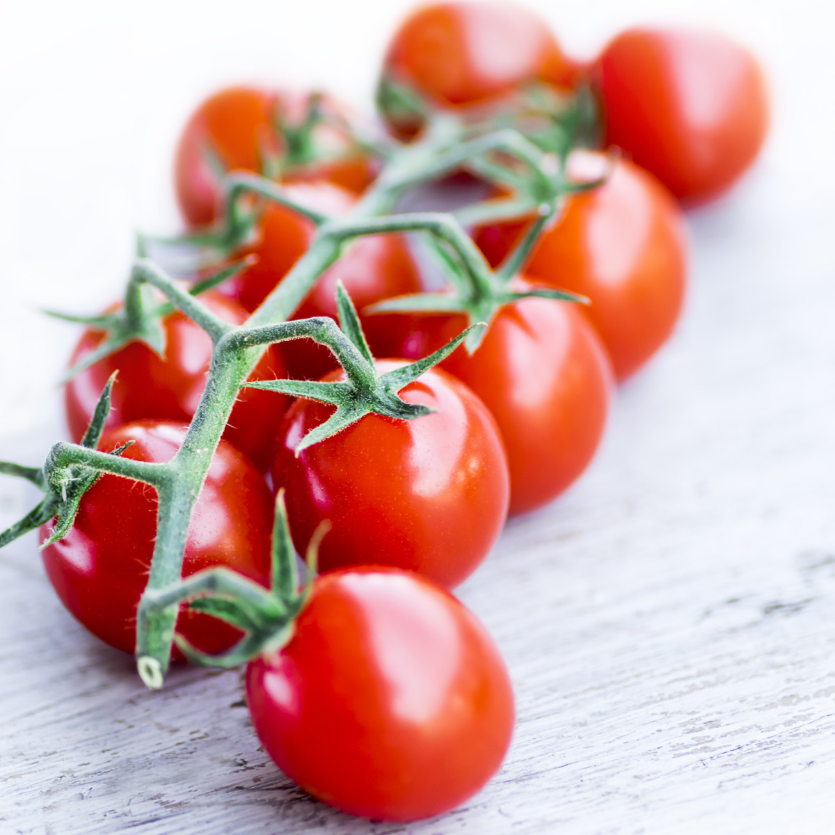 Rajče koktejlové Bistro - Lycopersicon esculentum - semena - 15 ks