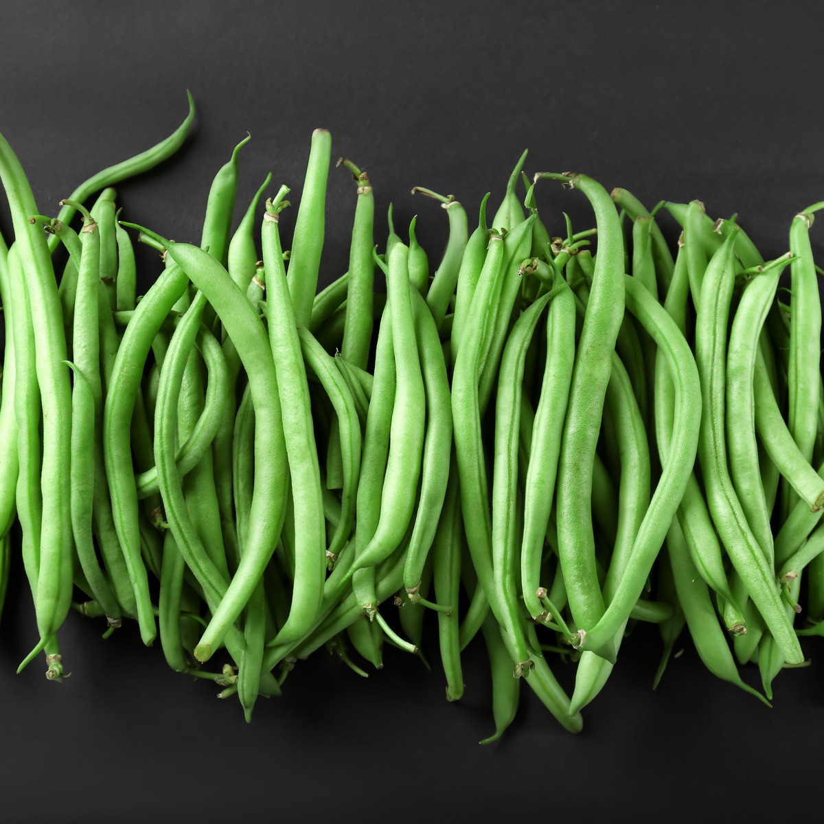 Fazole tyčková Primel - Phaseolus vulgaris - semena fazole - 20 ks