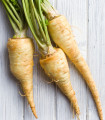 Pastiňák setý - Pastinaca sativa - semena - 1 g