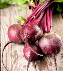 BIO Řepa červená Detroit 2 - Beta vulgaris var. vulgaris - bio semena řepy - 50 ks