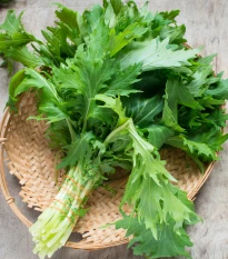 Namenia - Brassica rapa - semena namenia - 200 ks