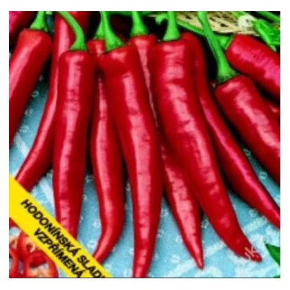 Paprika Hodonínská sladká - Capsicum annuum - semena - 0,6 g