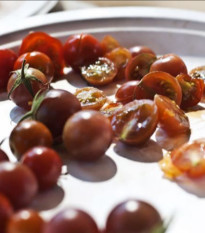 Rajče Brown berry - solanum lycopersicum - 6 ks