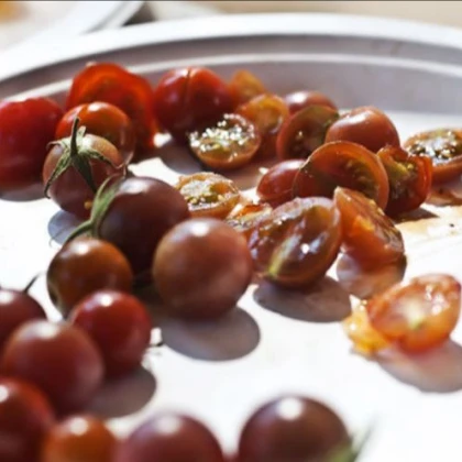 Rajče Brown berry - solanum lycopersicum - 6 ks
