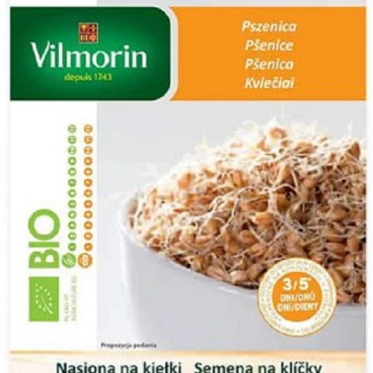 Bio pšenice - bio semena na klíčky - 40 g