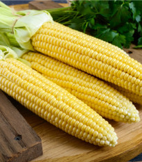 Kukuřice cukrová Minigold - Zea Mays - semena - 4 g