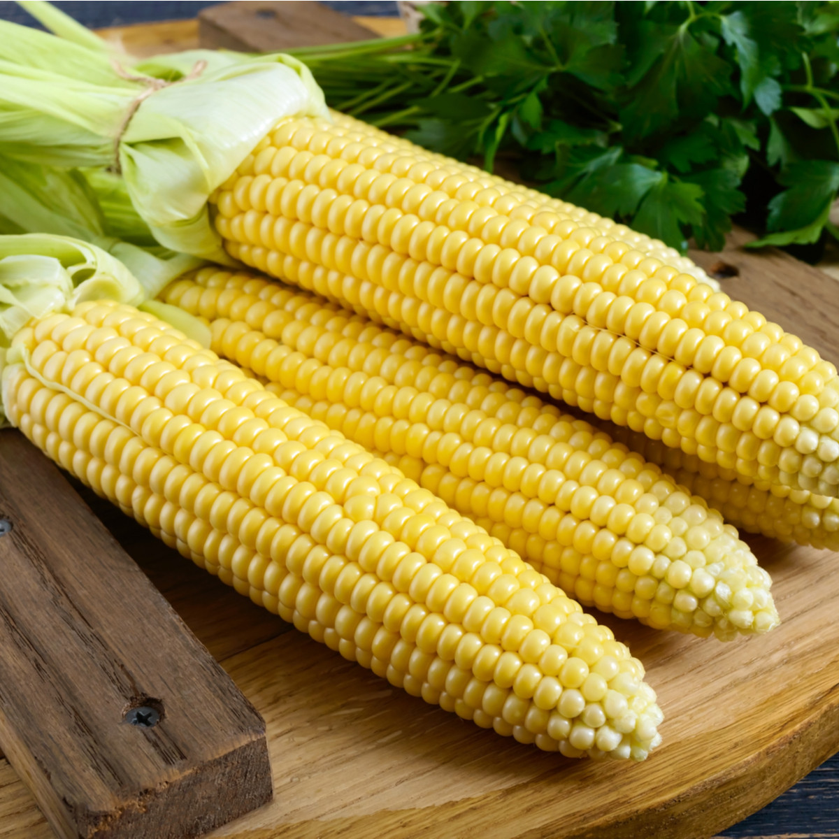 Kukuřice cukrová Minigold - Zea Mays - semena - 4 g