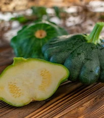 Patizon Green Saucer F1 - Cucurbita pepo - semena patizonu - 5 ks