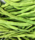 BIO fazole keříčková Maxi - Phassseolus vulgaris - semena - 5 ks