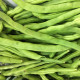 BIO fazole keříčková Maxi - Phassseolus vulgaris - semena - 5 ks