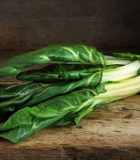 BIO Mangold Lucullus - Beta vulgaris - bio semena mangoldu - 45 ks