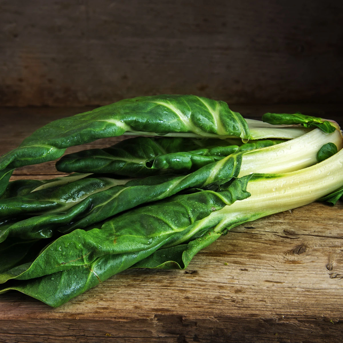 BIO Mangold Lucullus - Beta vulgaris - bio semena mangoldu - 45 ks