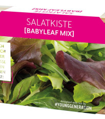 Pěstební sada na saláty s dřevěným květináčem - 1 ks