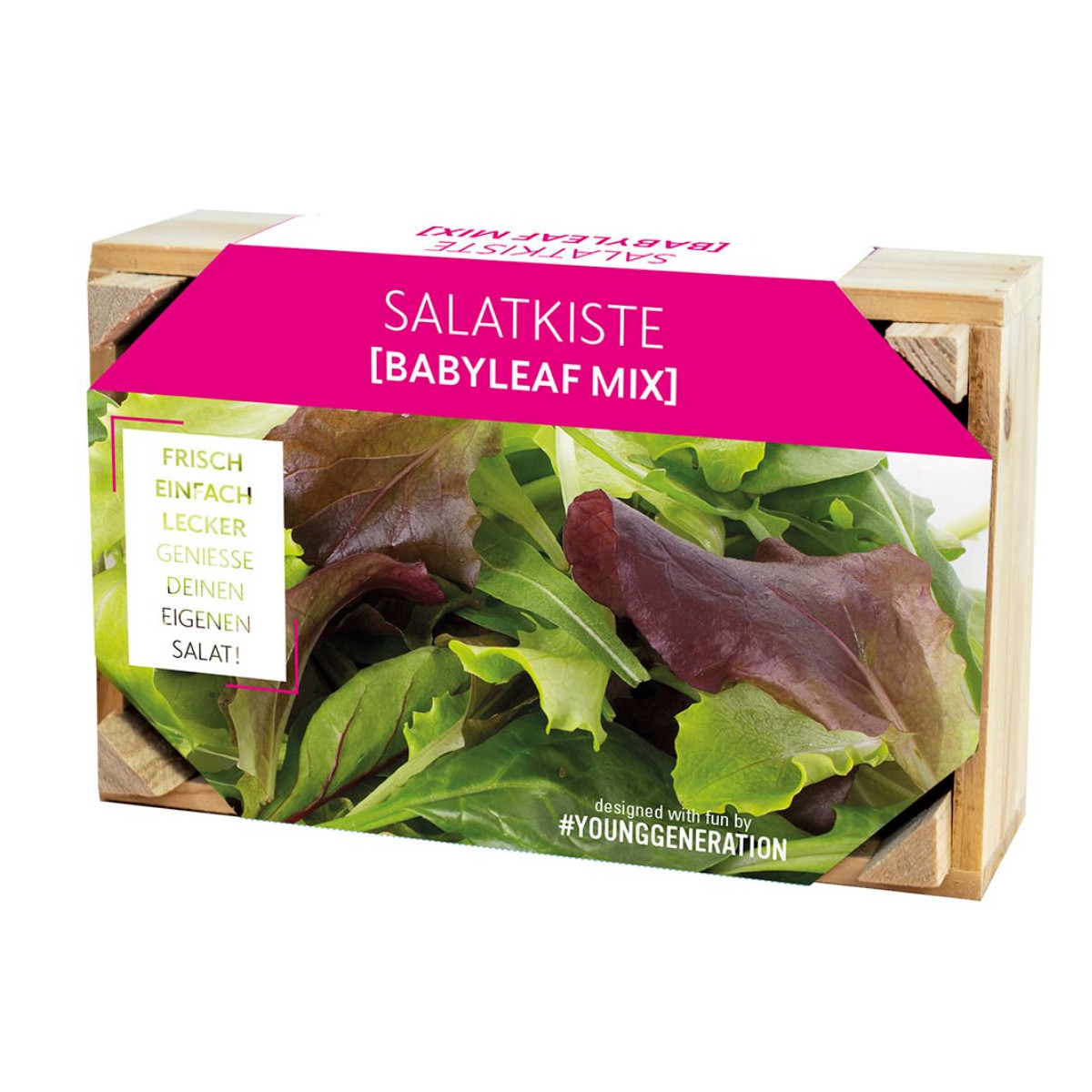 Pěstební sada na saláty s dřevěným květináčem - 1 ks