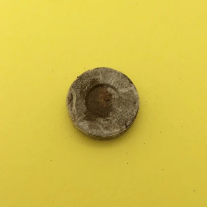 Rašelinové tablety - jiffy - 33 mm - 1 ks