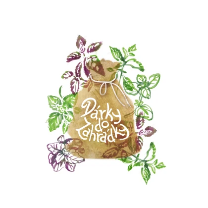 Dárkový balíček semen bazalek - zdarma dárkové balení