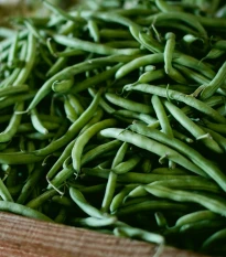 Fazol keříčkový Negra - Phaseolus vulgaris - semena fazolu - 10 ks