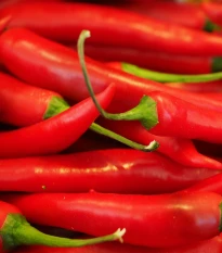 Chilli Aji Crystal - Capsicum baccatum - semena chilli - 7 ks