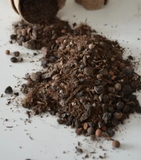 Substrát pro buxus - speciální substrát - 100 g