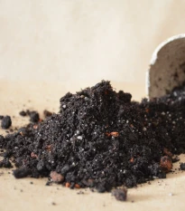 Substrát pro levandule a rozmarýny - speciální substrát - 100 g