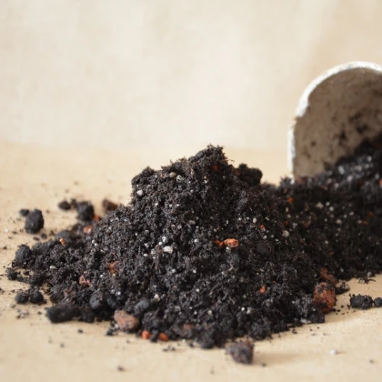 Substrát pro levandule a rozmarýny - speciální substrát - 100 g