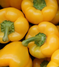 Paprika Gelber Block - Capsicum annuum - semena papriky - 7 ks