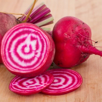 Řepa salátová Chioggia - Beta vulgaris - semena řepy - 50 ks