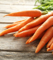 Mrkev letní Juwarot - Daucus carota - semena mrkve - 900 ks