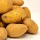 Sadbové brambory Sunshine C2 - Solanum tuberosum - brambory - 5 kg