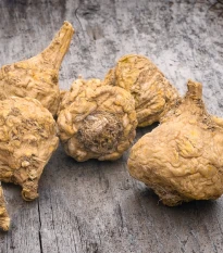 Maka peruánská - Lepidium meyenii - semena maky - 5 ks