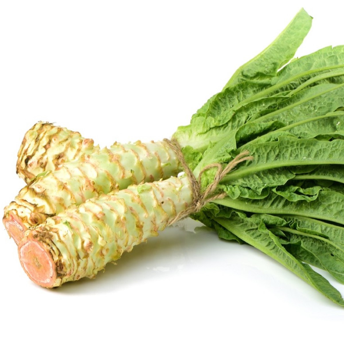 Salát chřestový Celtuce - Lactuca sativa L.var.asparagina - semena salátu - 300 ks