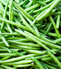 Fazol Enorma - Phaseolus coccineus L. - semena fazolu - 20 ks