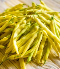 Fazol keříčková Golden Teepee - Phaseolus vulgaris - semena fazolu - 20 ks