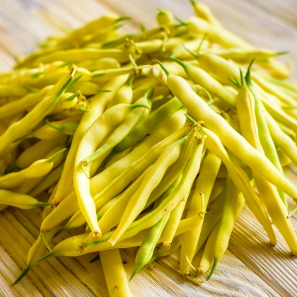 Fazol keříčková Golden Teepee - Phaseolus vulgaris - semena fazolu - 20 ks