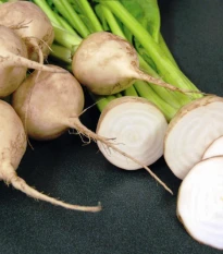 Řepa salátová Avalanche - Beta vulgaris - semena řepy - 50 ks