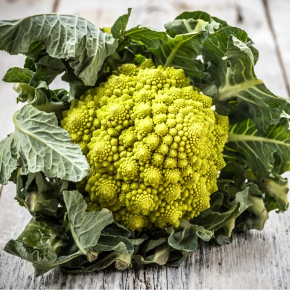 Květák Veronica - Brassica oleracea L. convar. botrys - semena květáku - 10 ks