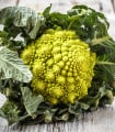 Květák Veronica - Brassica oleracea L. convar. botrys - semena květáku - 10 ks