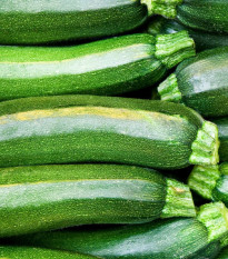 BIO Cuketa Partenon F1 - Cucurbita pepo - bio semena cukety - 5 ks