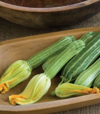 BIO Cuketa Costata Romanesco - Cucurbita pepo - bio semena cukety - 8 ks