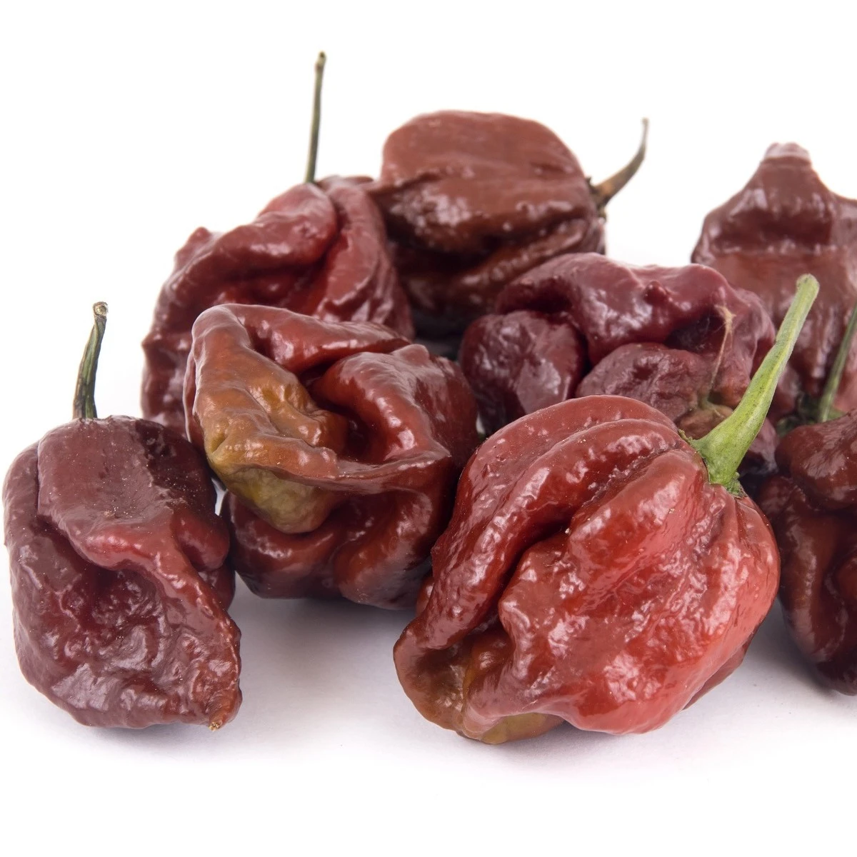 Chilli Trinidad Scorpion Moruga Caramel - Capsicum chinense - semena chilli - 5 ks