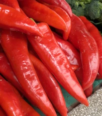 BIO Paprika Sweet Dreams - Capsicum annuum - bio semena papriky - 10 ks