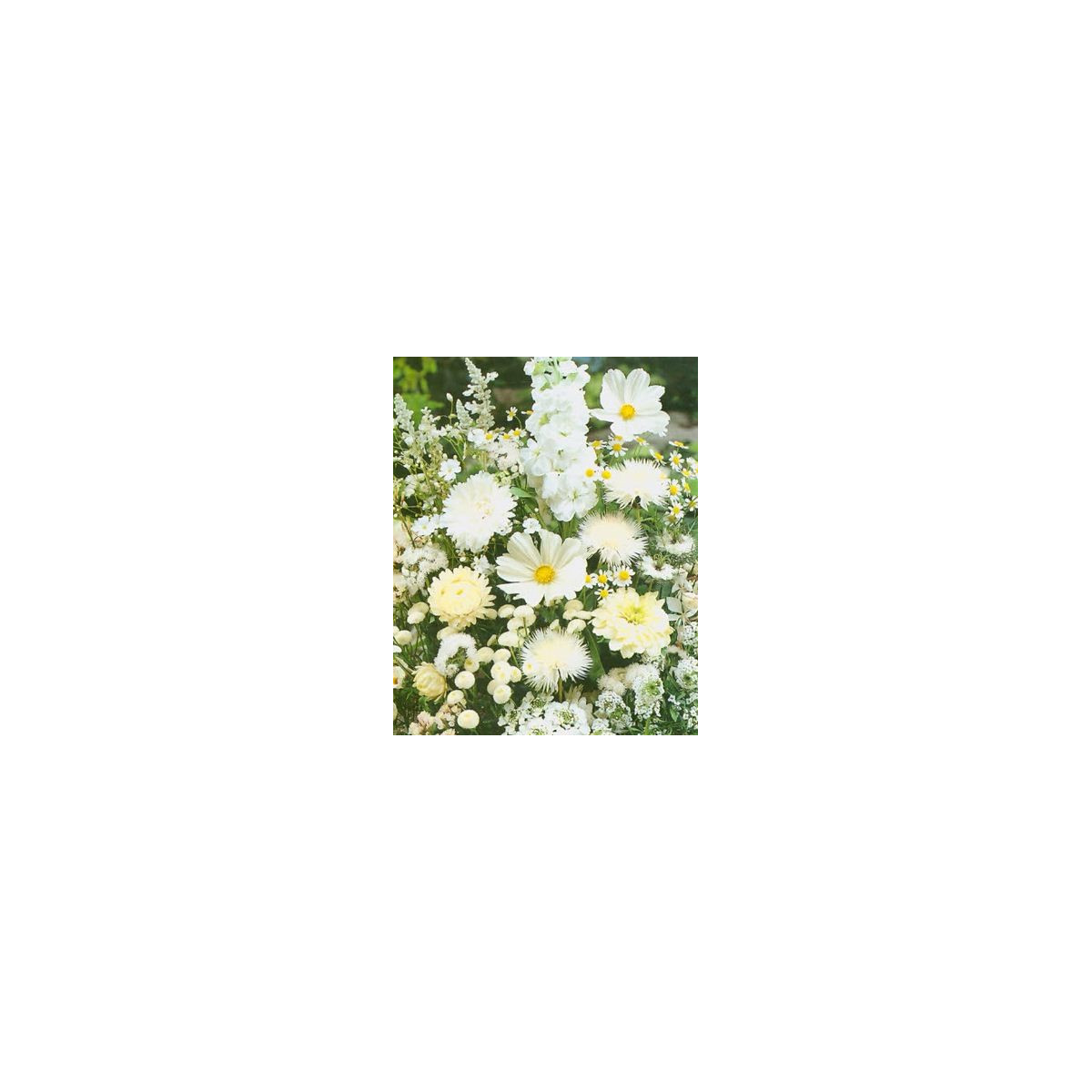 Zahradní sen v bílém - semena letniček - směs letniček - 0,9 g