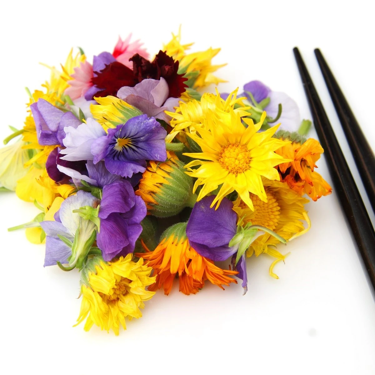 Jedlá louka - semena Černý Biopro - letničková směs - 20 g