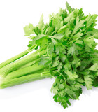 Celer listový